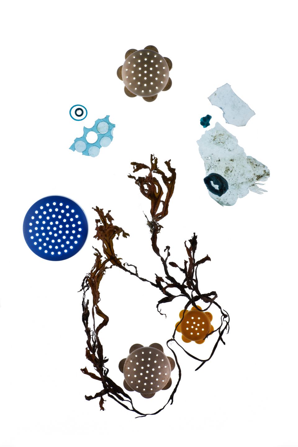 Iwona Knorr: Strandgut B01, Fotografie, Pigmentdruck, 1/5, 2020, 50x70 cm inkl. Rahmen (370,00 €)