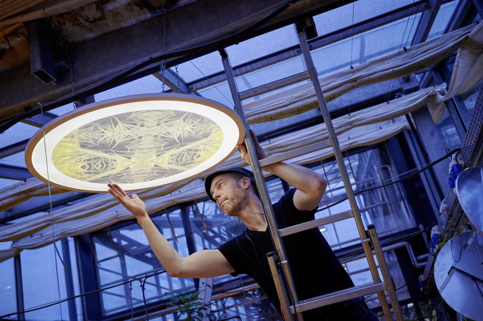 Vorbereitung der Ausstellung | Marc W1353L