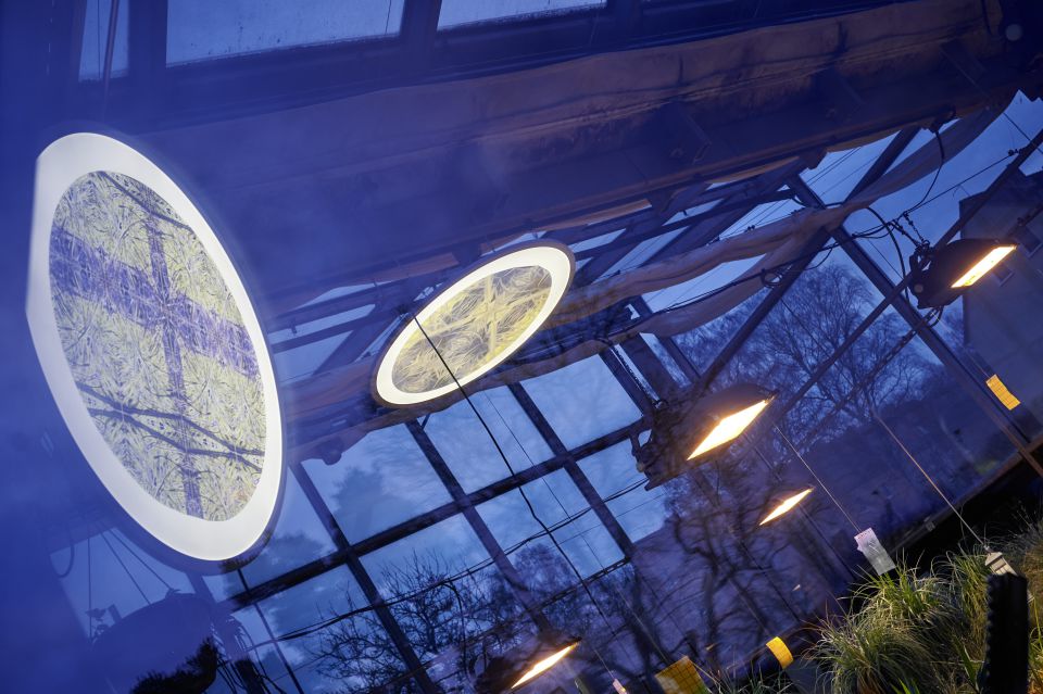 Arbeiten von Marc W1353L