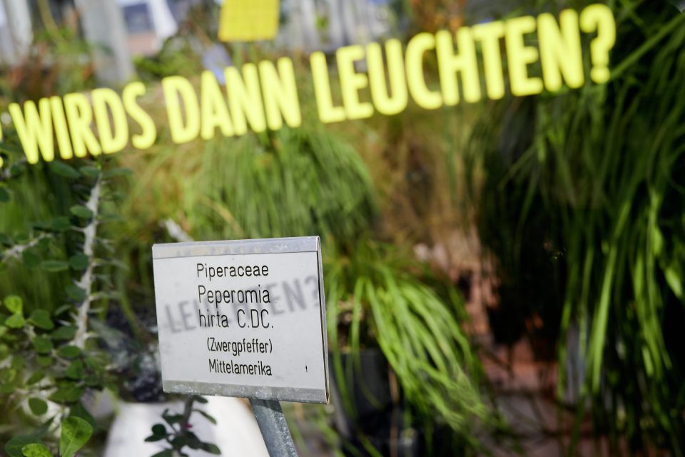 Rundgang im Institut für Physik und im Botanischen Garten I 14.02.2022