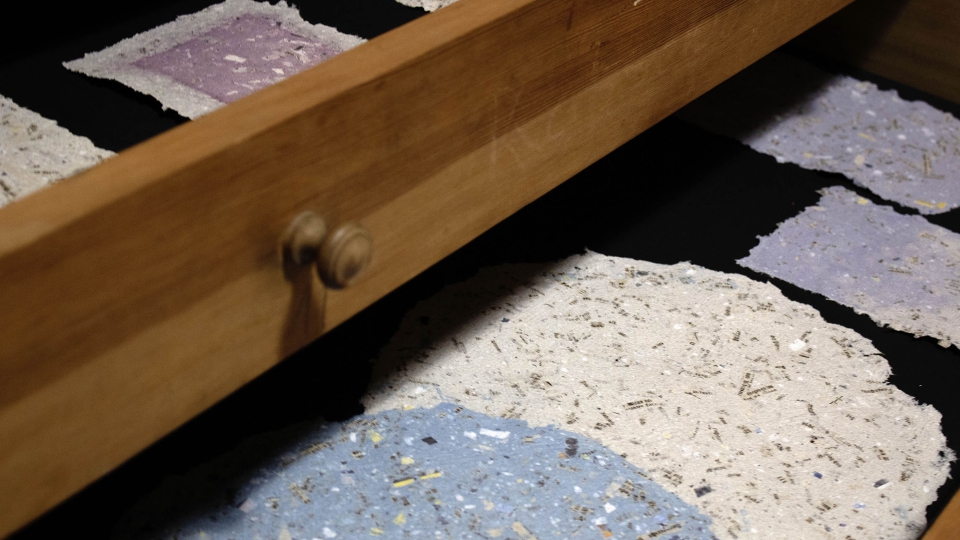 Fotos: Maren Bretsch, Christof Krüger, Matthias Dettmann