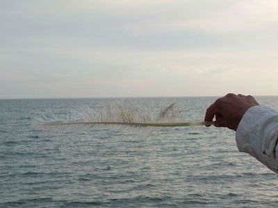 Iris und Reinhard Thürmer: Skanör. 2015, Fotografie