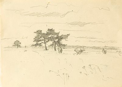 Erich Venzmer: Bäume am Wegrand, o. J., Bleistift (Leihgabe Kunstmuseum Schwaan)