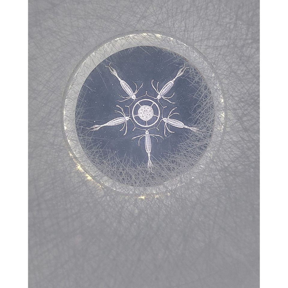 Anna Silberstein: POLARIS. Acrylglas gefräst und geschichtet, 2023