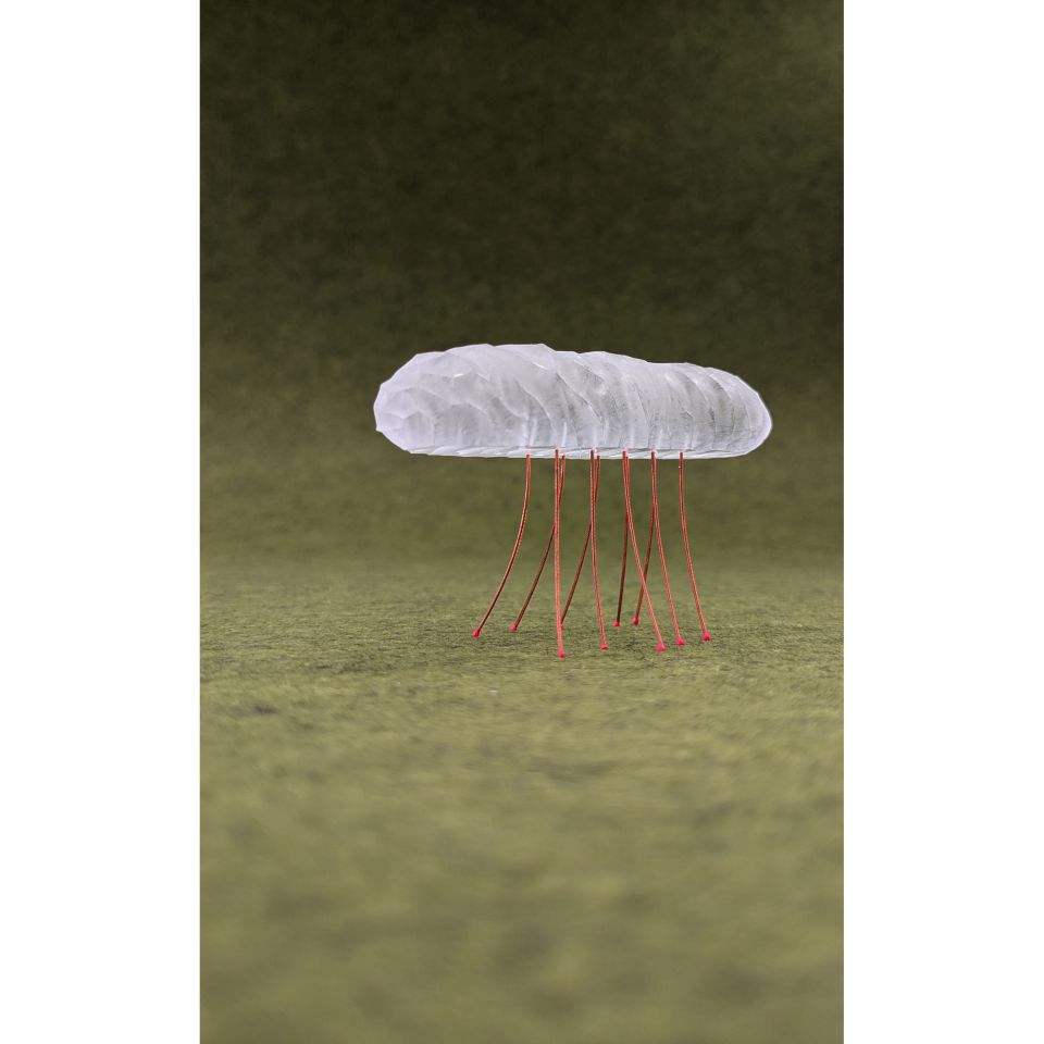 Anna Silberstein: CREATURE 3. Acrylglas gefräst, 2025