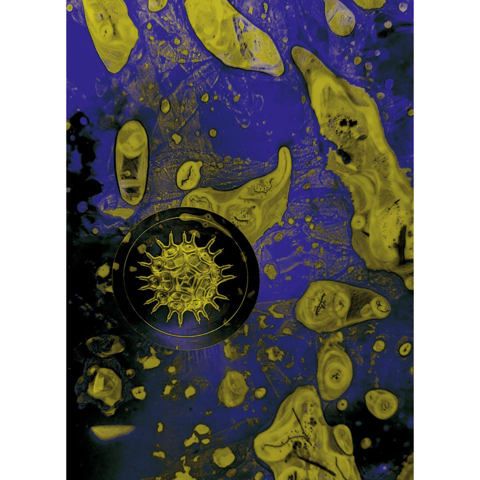 Anna Silberstein & Karen Kunkel: Kooperation. Collage, 2026