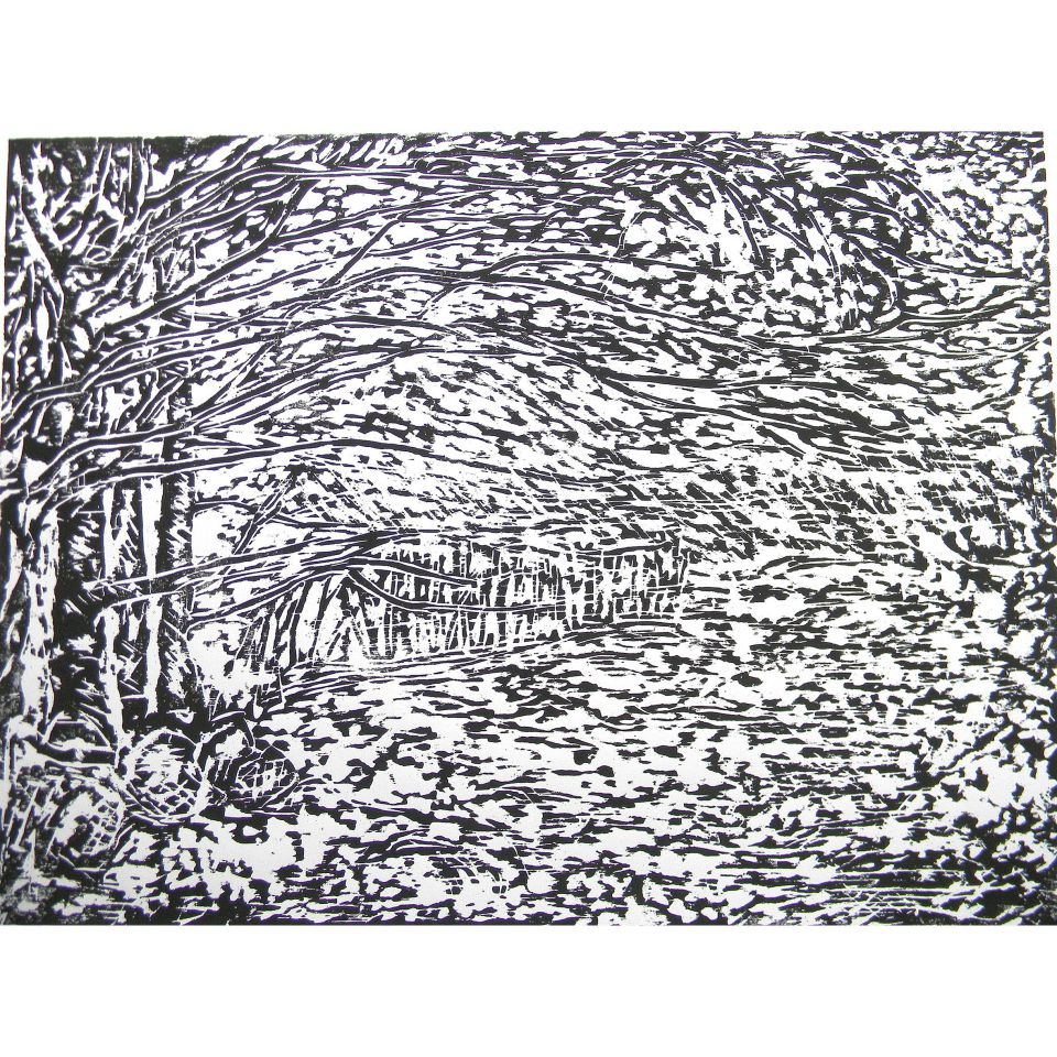 Susanne Pfeiffer: Lichtung. Holzschnitt, 2005, Blatt 7/10, 45 x 60 cm