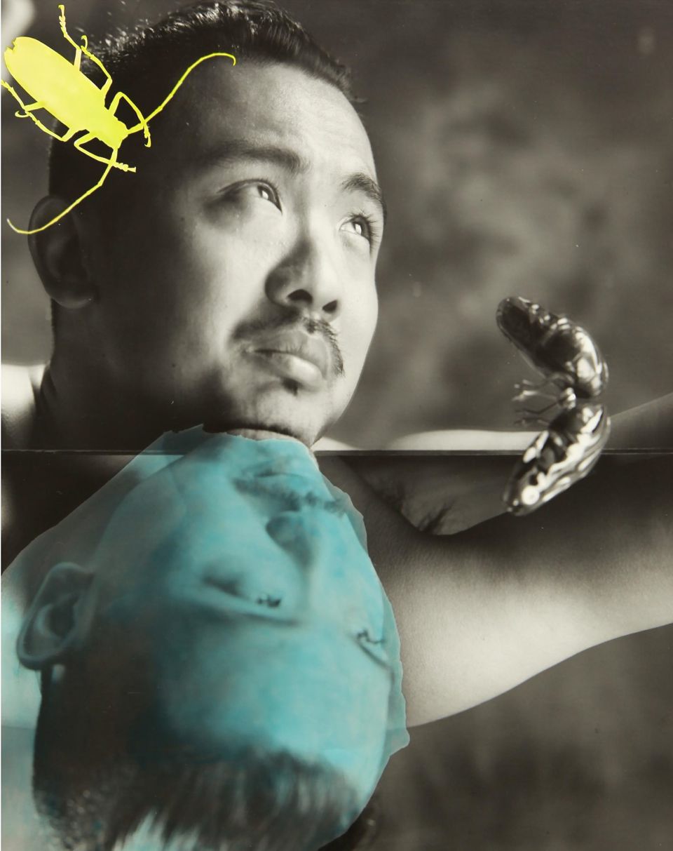 Ming Ye: All Living Creatures No.0430. 2019, Silbergelatinedruck coloriert, 35,5x28 cm