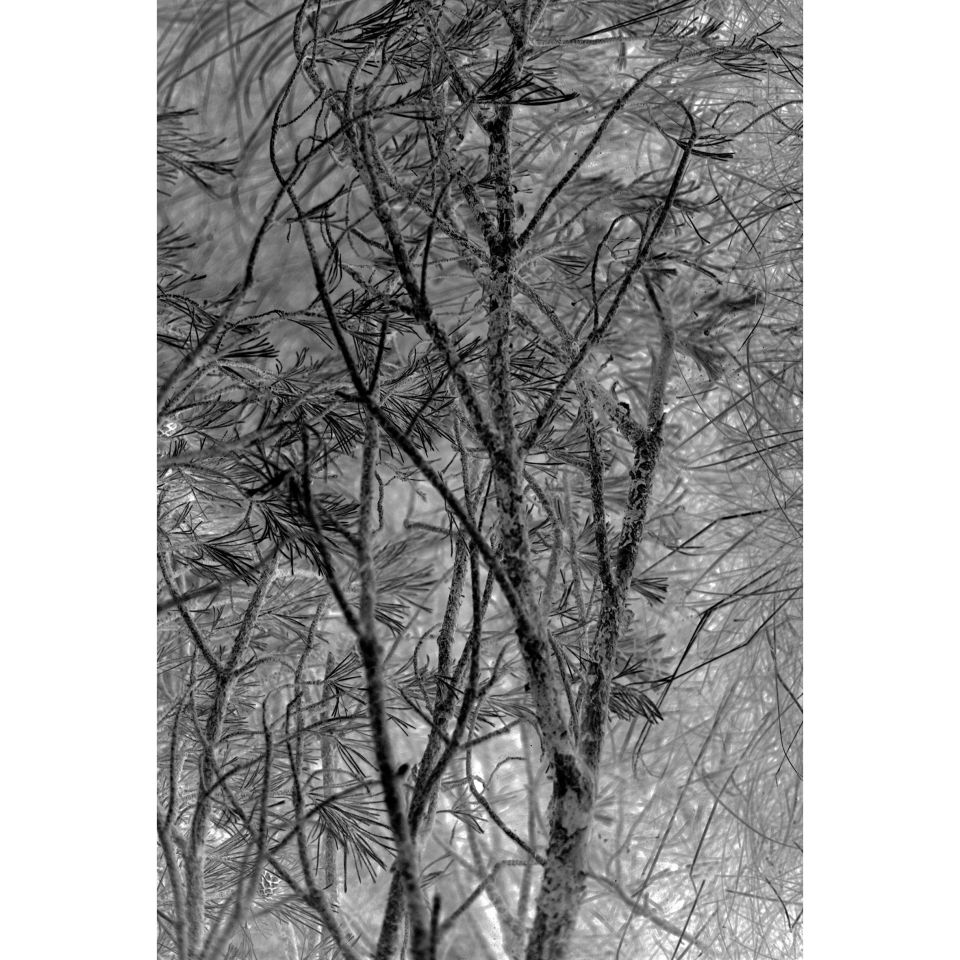 Eckart Pscheidl-Jeschke