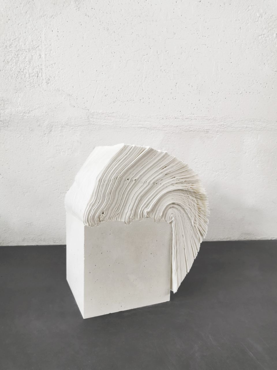 Ines Schaikowski: aus der Serie Hybride Heimat. 2020, Objekte & Modelle