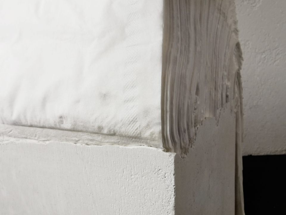 Ines Schaikowski: aus der Serie Hybride Heimat. 2020, Objekte & Modelle