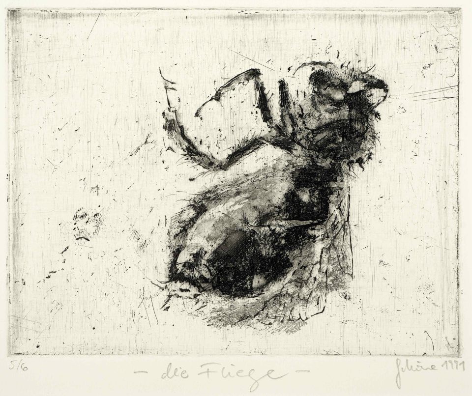 Kleines Kabinett - Markusz Schöne: Die Fliege, Ätzradierung 5/6, 1991, 18x13,5 cm, 40x50 cm Passepartout (100,00 €)
