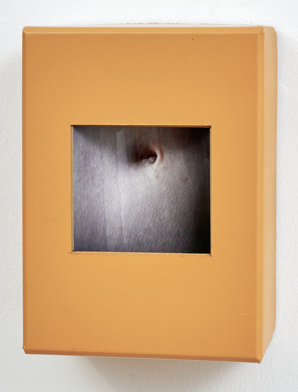 Udo Dettmann: 3 von G7 (Gänsehaut), Objektkasten, Mischtechnik, 2011, 26x19x11,5 cm (330,00 €)