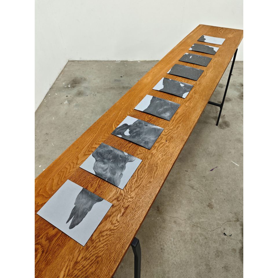 Christin Wilcken: Fluss. 2025, Graphit auf Papier, Ausstellungsansicht, Kyoto