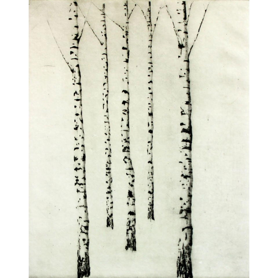 Hannes Schützler: Birken II. Kaltnadelradierung, 2018, 29 x 36 cm