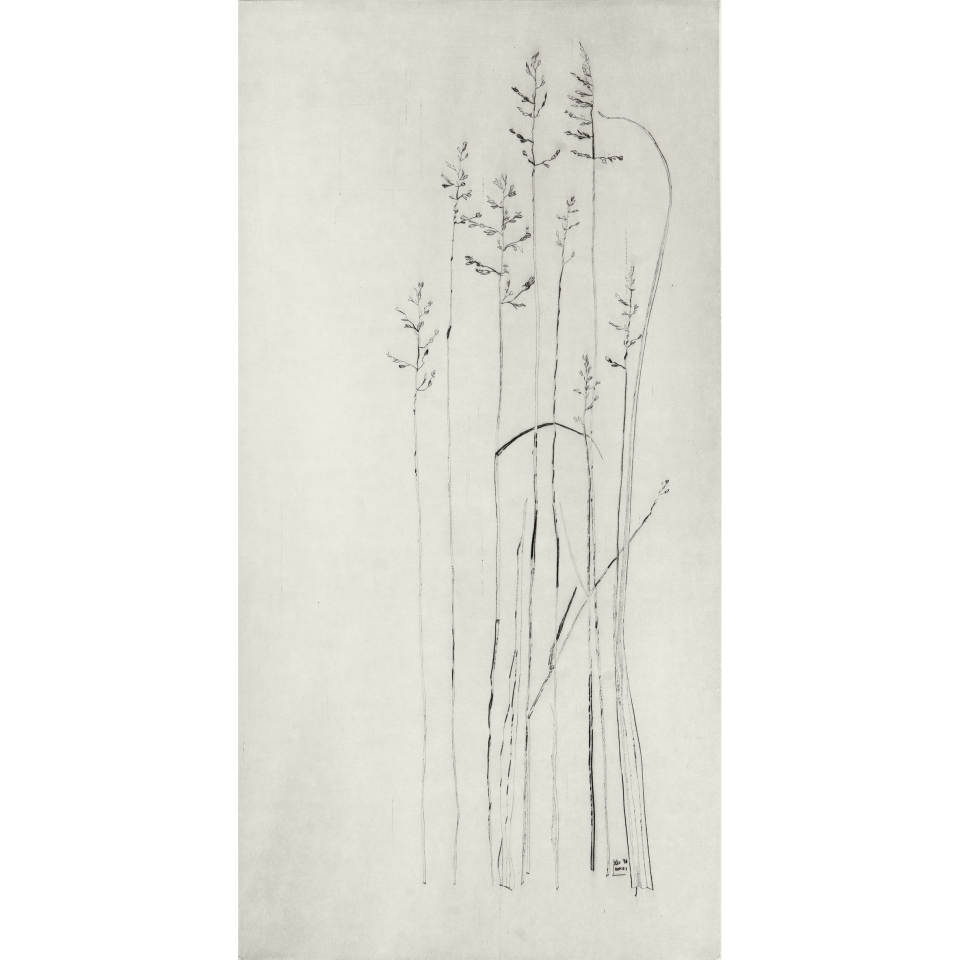 Lydia Klammer: Wälder. Kaltnadelradierung, 2018, 38 x 53 cm
